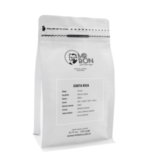 Filtre Kahve - Costa Rica - Mr.Bon-250 GR